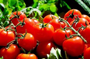 tomatoes-1280859_640